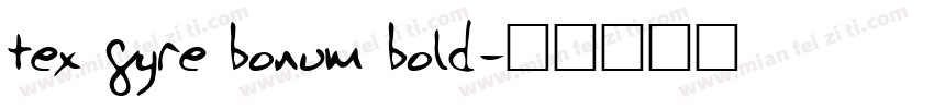 tex gyre bonum bold字体转换
